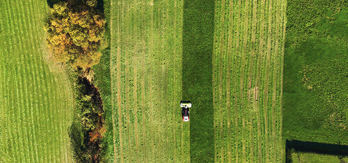 Rolnictwo i ogrodnictwo